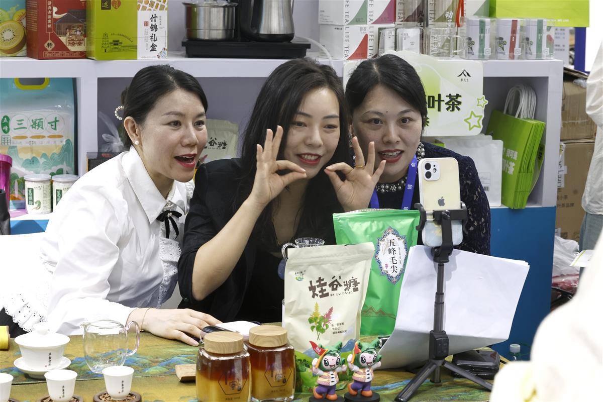 太阳城游戏登录
